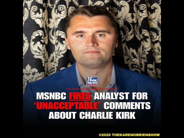 MSNBC Analyst Fired Amid Controversy