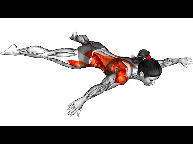 Exercises to Stretch Your Muscles and Improve Your Posture