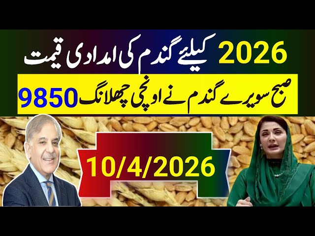 Wheat Support Price 2026 / گندم کی نئی امدادی قیمت فائنل اعلان 