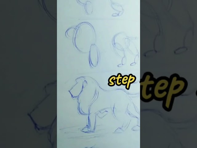 Quick Lion sketch Drawing Tutorial for Beginners 🦁✍️