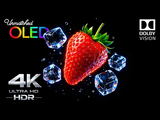 THIS OLED Test HDR 4K 120FPS Dolby Vision LOOKS UNMATCHED 🔥 (4K OLED Demo)