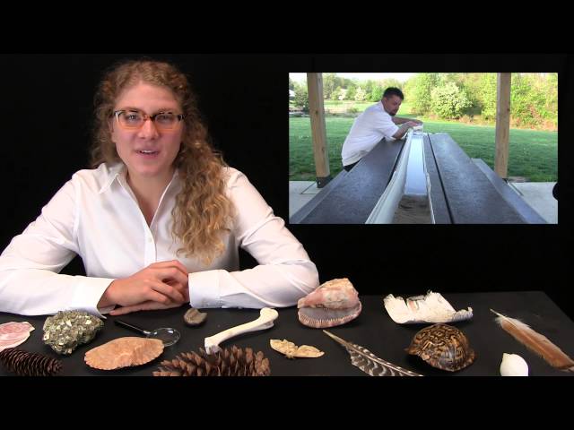 Welcome to FunScienceDemos!