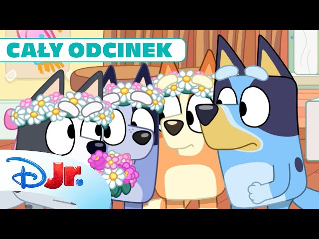 CAŁY ODCINEK: 🏠 Przeprowadzka | Blue | Disney Junior Polska
