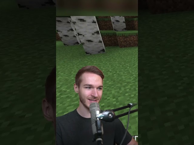 Programming Minecraft Mods for YouTubers!⛏️😱 (Part 2) @Wichtiger #MrLuchs #Shorts