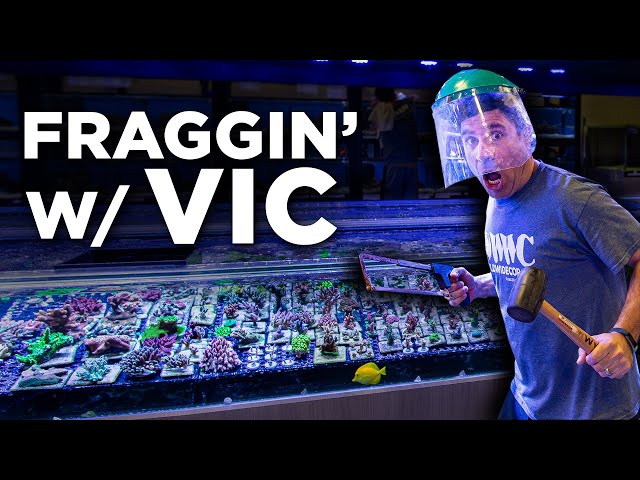 Fraggin' With Vic - World Wide Corals