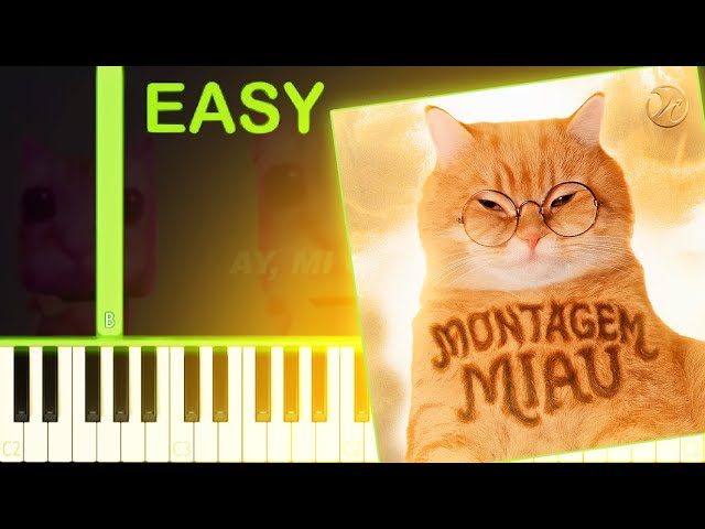 ay mi gatito MONTAGEM MIAU - EASY Piano Tutorial
