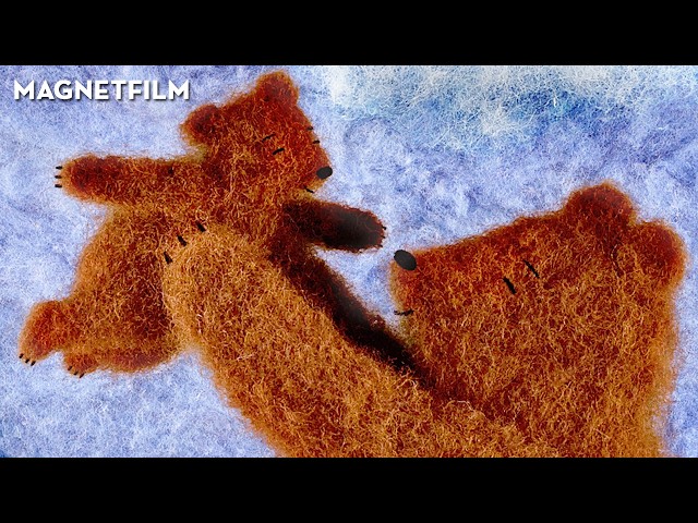 Hush Hush Little Bear | Animated Short Film - by Māra Liniņa