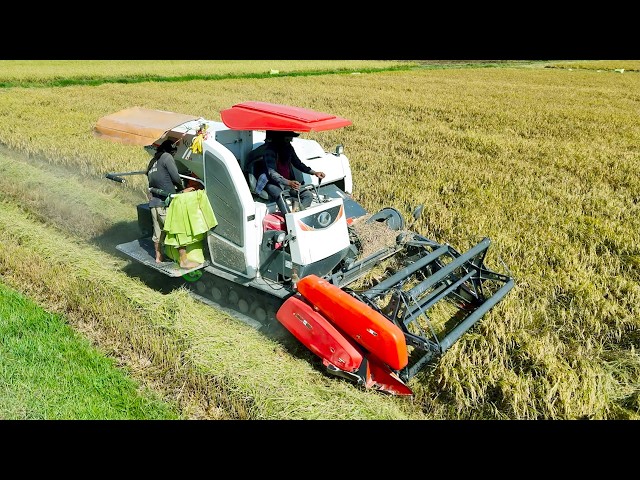 Farm Machinery Cropping Tools And Equipment, Action Rice Harvester Machine Operation Techniques