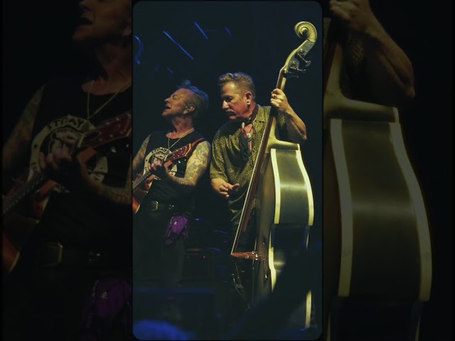 The Stray Cats' are ready to bring their legendary explosive live show to audiences this summer! 💥