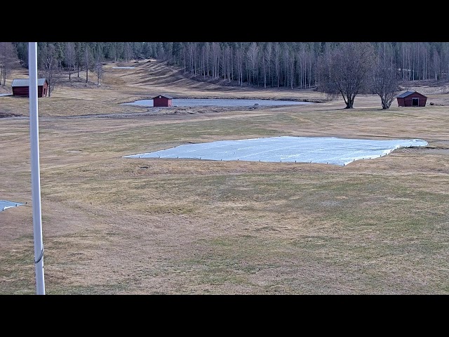 Skellefteå Golfklubb Live