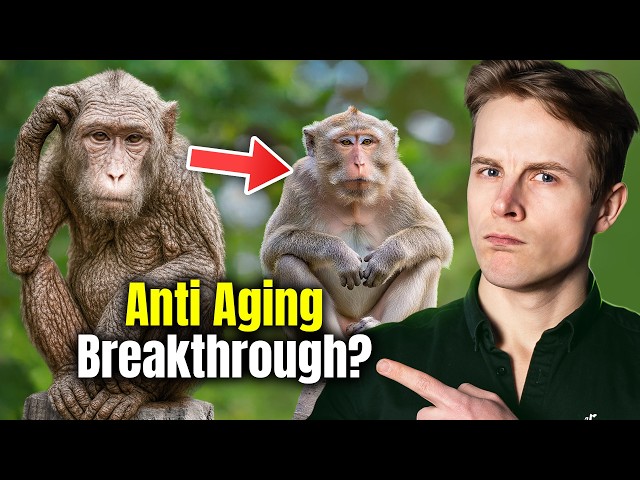 Did Scientists Just Make Old Monkeys Young Again