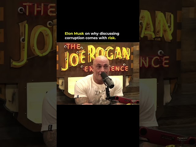 Elon Musk on why discussing corruption comes with risk.