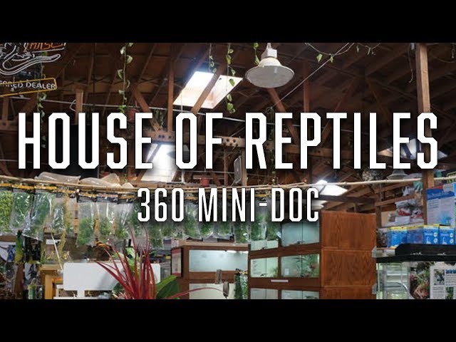 House of Reptiles - 360 Mini-Doc