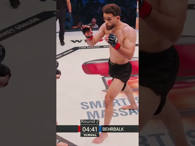 WLMMA 80 Highlights aus Dresden jetzt online!