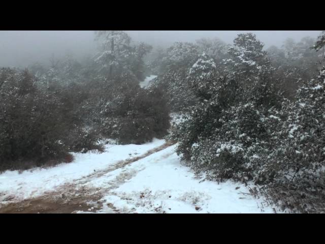 AZ Four Peaks Snow Run in the Rubicon 5