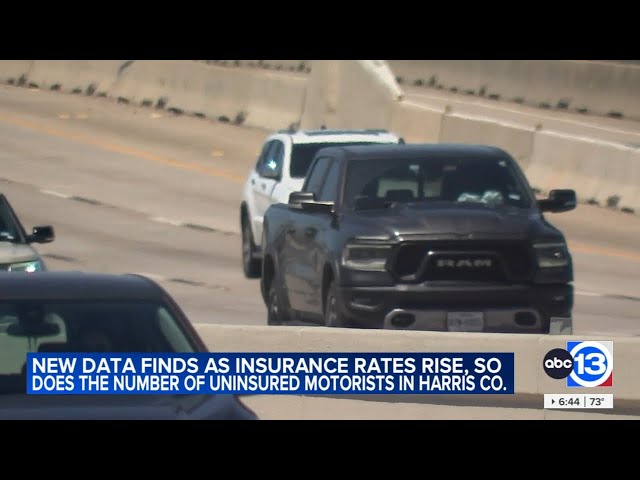 More Harris County drivers dropping car insurance as prices increase, data shows