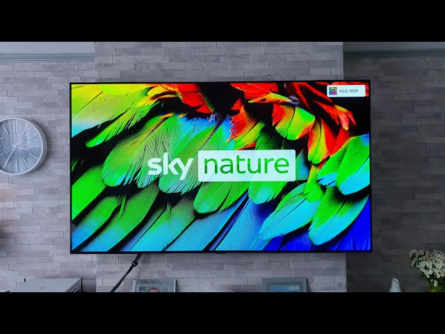 Sky Q UPDATE, adds HDR & Games,LOOKS AMAZING ! demo on OLED + compatibility check list