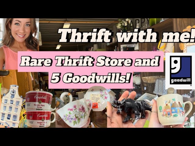 Hidden Gem Thrift Store, 5 Goodwills, & More! 