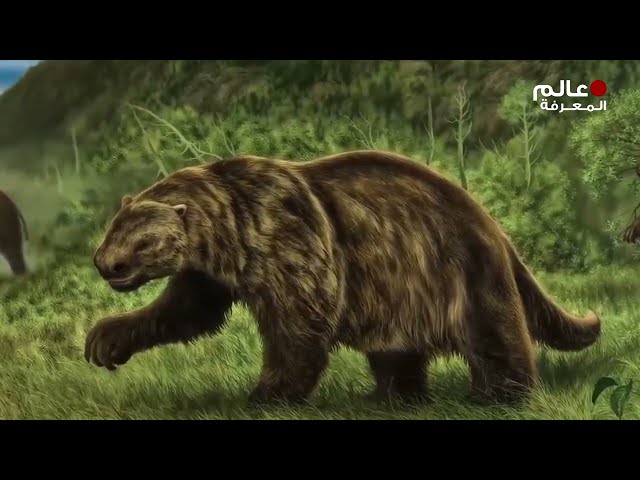 عندما اكتشف العلماء هذا الاكتشاف الذي عمره 2000 عام، وجدوا شيئا أذهل الجميع !!