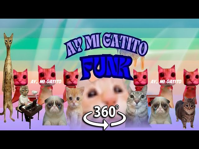360° VR AY MI GATITO MIAU FUNK