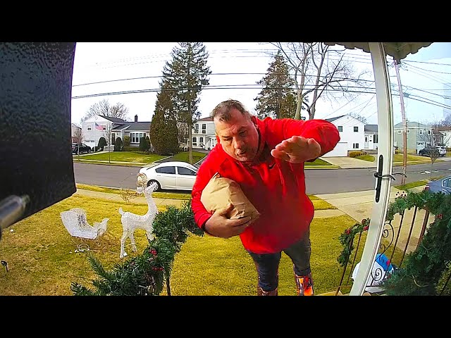 Caught in 4K! 📹 Funniest Security Camera Fails of 2025