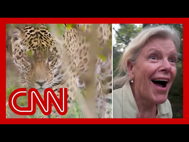 Inside one of the world's most ambitious conservation projects