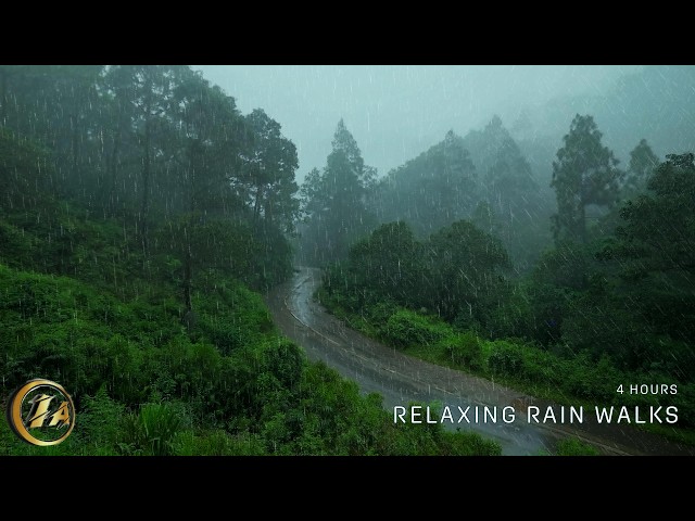 [4K] Walk through Misty Rain under Umbrella | Relaxing ASMR Rain Walks Compilation for 4 Hours