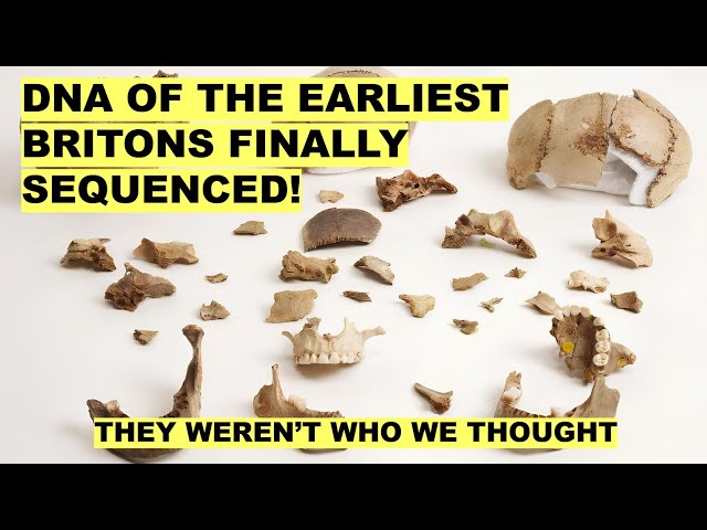 Oldest DNA From Britain Changes Everything About Its Earliest Inhabitants!
