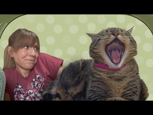 Penny faces burglars, extreme heat and sharpies, oh my!