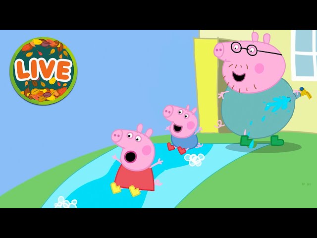 🔴 LIVE 24/7: Peppa Pig NEW Tales 2026 🐽 Best Pig Adventures | Cartoons for Kids