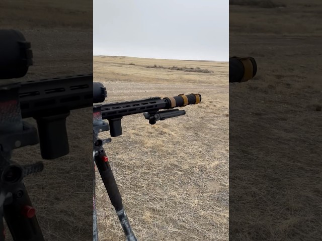 shooting the 308 suppressed #silencer #guns #shorts #308 #ar10