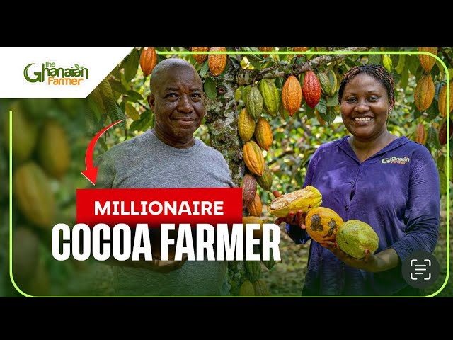 Massive 45 Acres Cocoa Farm In Ghana 🇬🇭 He Shares His #1 Secret To Starting A SUCCESSFUL Farm