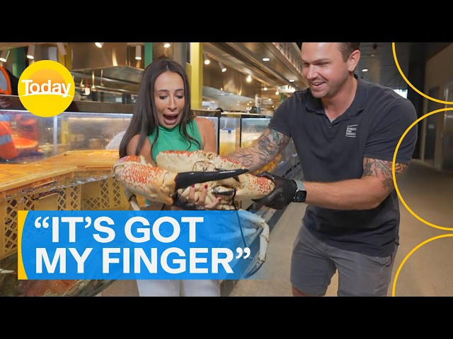 Weather presenter attacked by crab live on air | Today Show Australia