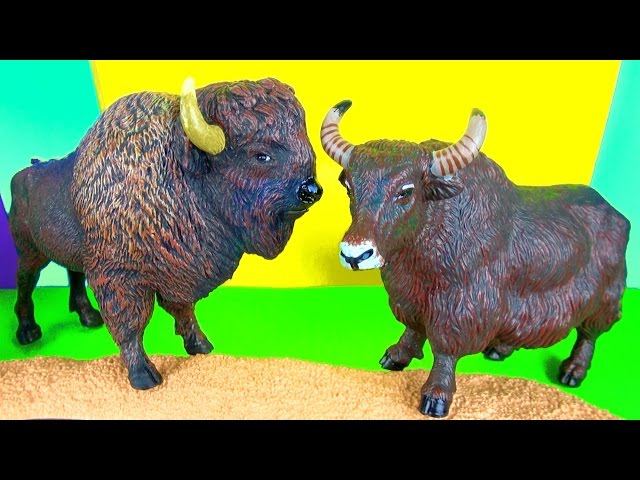 7  Wild Animals Kids Toy Collection Bison Yak Gnu Wildebeest Buffaloes