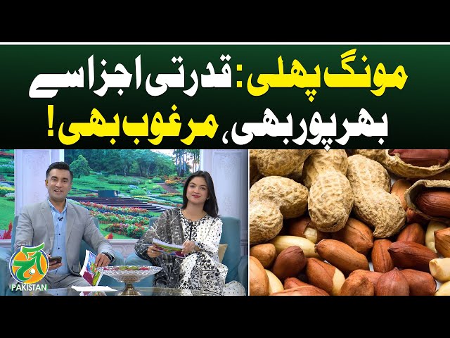 Peanuts Health Benefits | Natural Ingredients | Popular Snack Pakistan - Aaj Pakistan