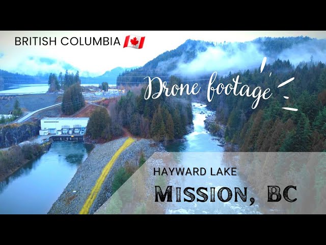 The Beauty of Hayward Lake, Mission, British Columbia: A Drone's Perspective, BC, #canada #4k