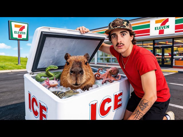 I Found Abandoned Animals in a Ice Machine…