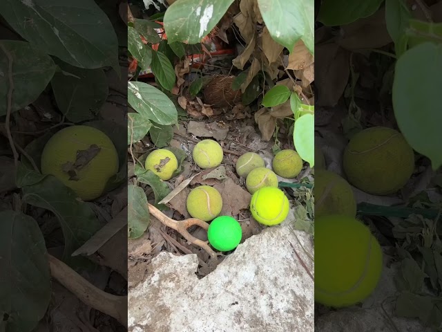 Best of day of life❤️🫶🏻 #nostalgia #childhoodmemories #90skids #relatable