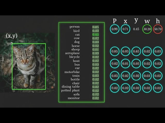 Let's Visualize How YOLO Works