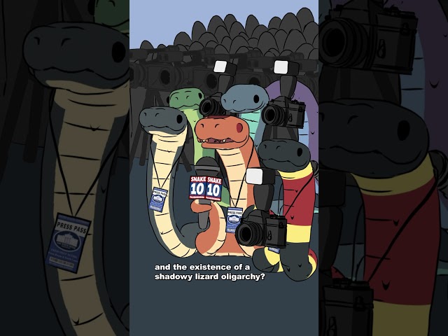 While they may look like snakes, legless lizards have eyelids and can blink unlike snakes.