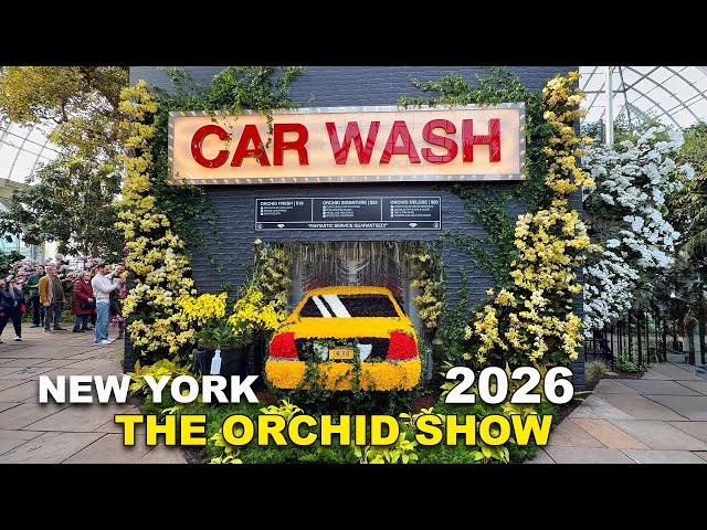 New York Botanical Garden BRONX New York The Orchid Show 2026 Mr. Flower Fantastic’s Concrete Jungle