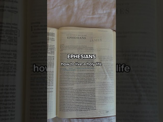 study guide for the Bible 🤍