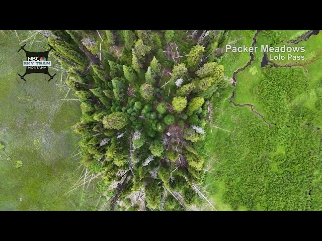 Drone video high above Packer Meadows at Lolo Pass