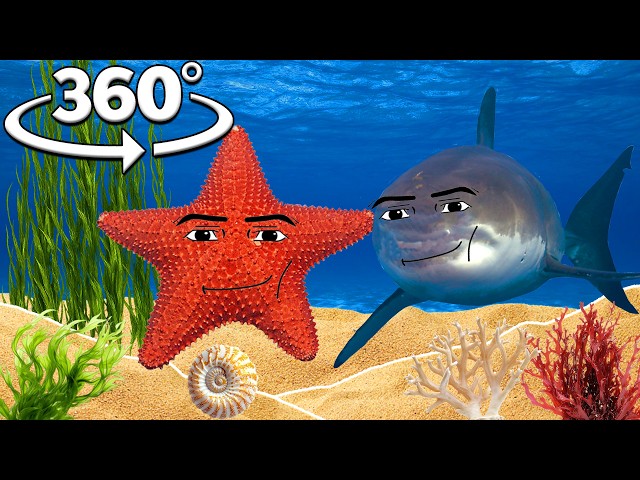 Oceanic Gegagedigedagedago in 360°