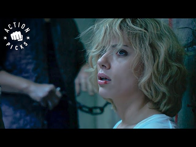 Lucy’s Brain Capacity Increases | Lucy