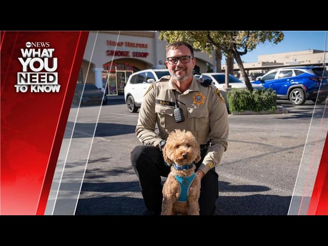 What You Need To Know - Weekend Edition