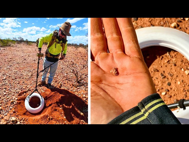 The first gold nugget we found with our Minelab GPZ 8000