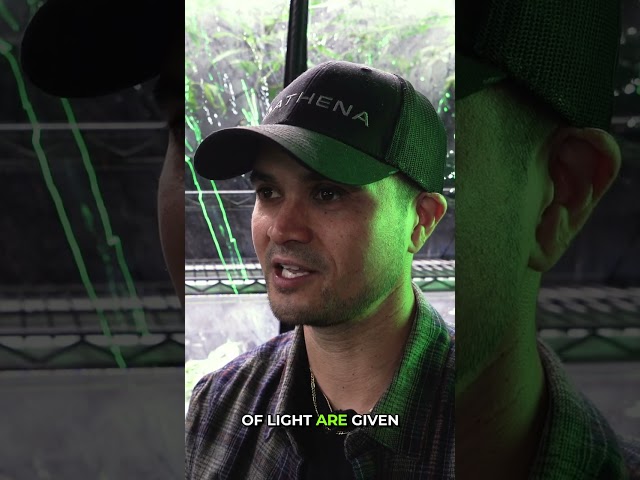 Growlink x SaltsAndLEDs: Spectrum Tuning