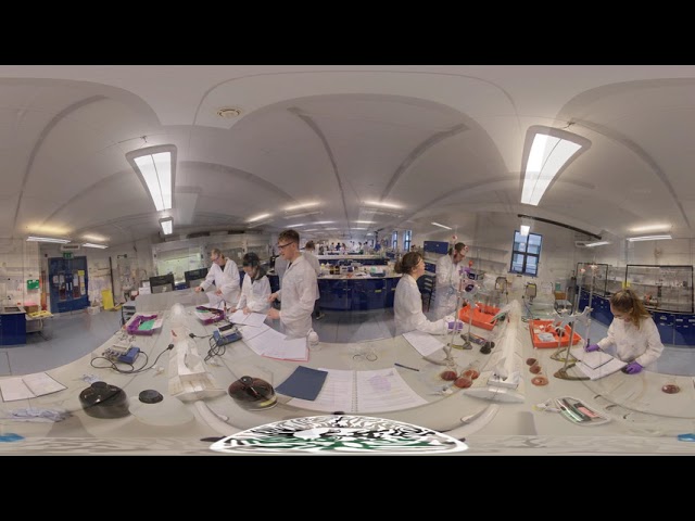 Undergraduate chemistry labs at Bath: 360 video