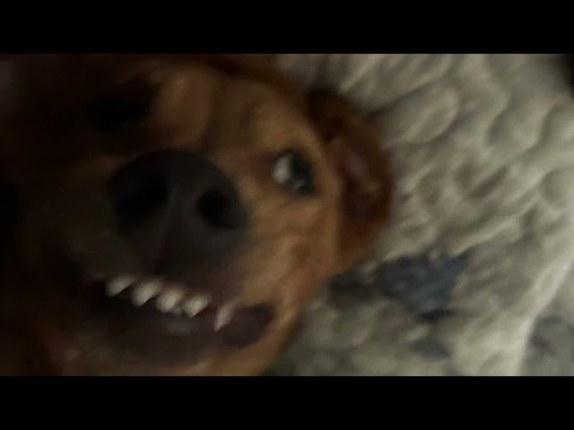 RICO - right (beatby.kayomi)